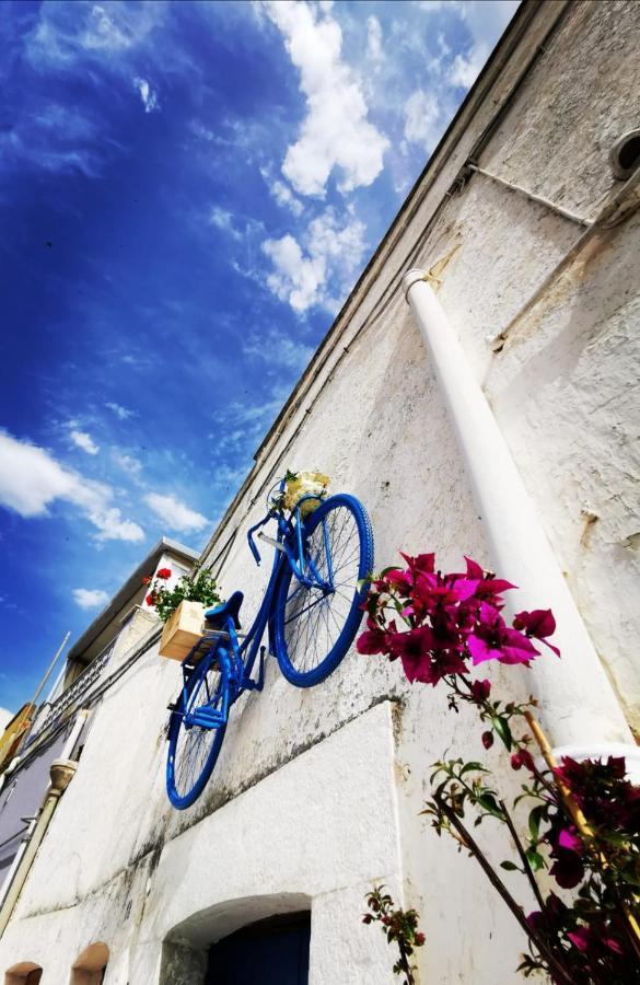 Casa Levante * Canosa di Puglia