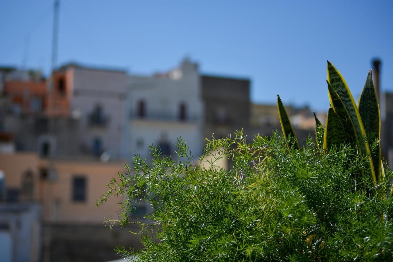 Casa Levante *